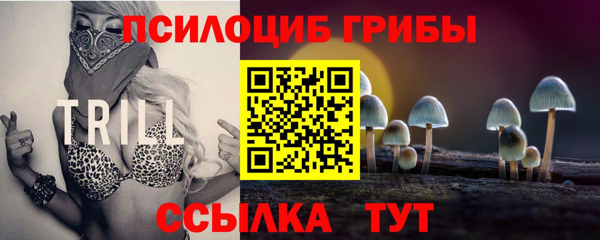 МЕТАДОН Губкин